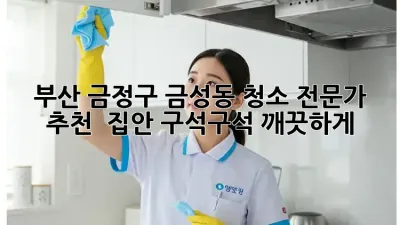 부산 금정구 금성동 청소 전문가 추천! ✨ 집안 구석구석 깨끗하게!